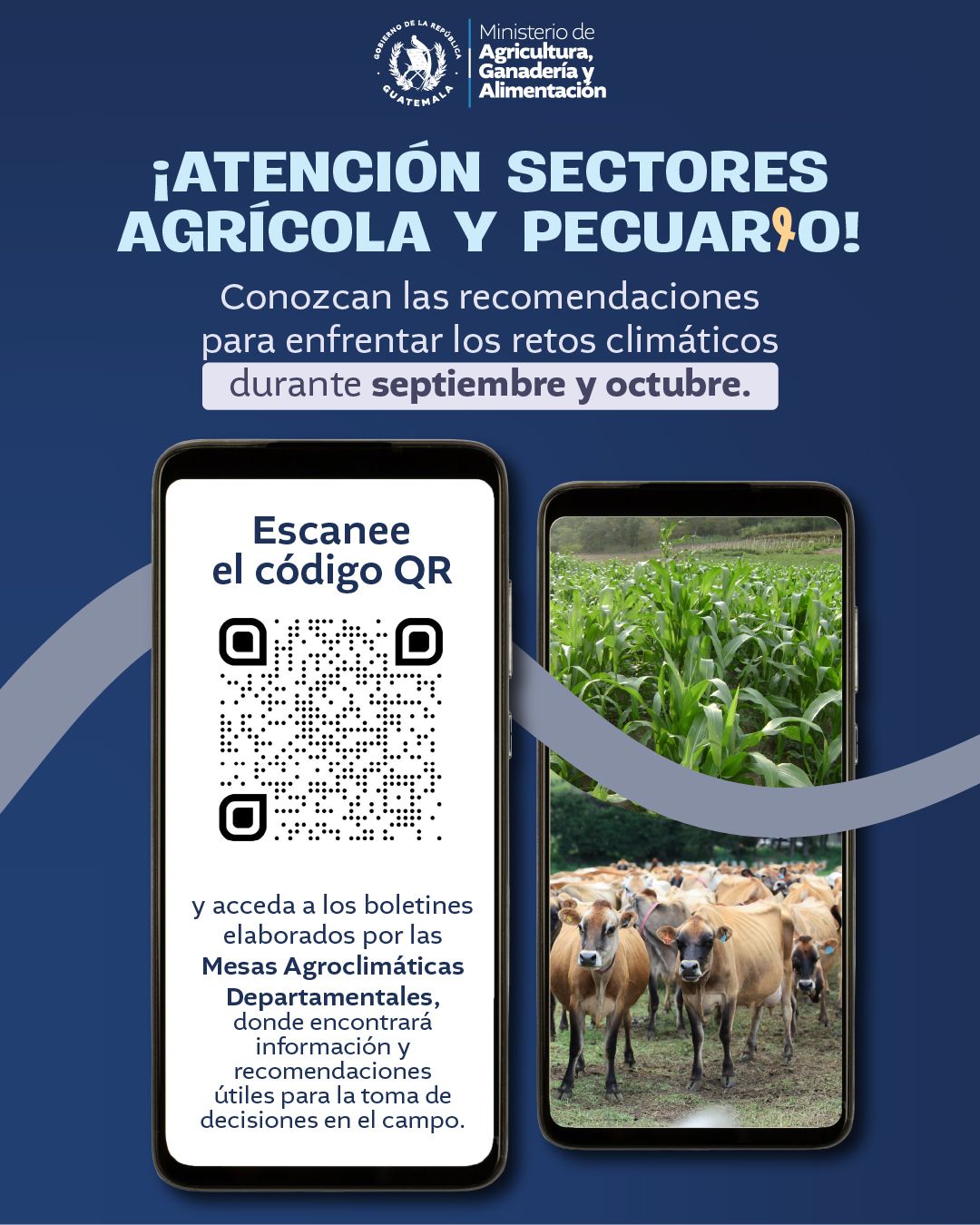 Atención sectores agrícola y pecuario