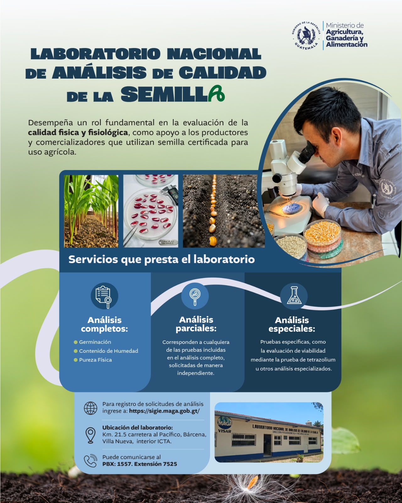 Servicios que brinda el Laboratorio Nacional de Análisis de Calidad de la Semilla