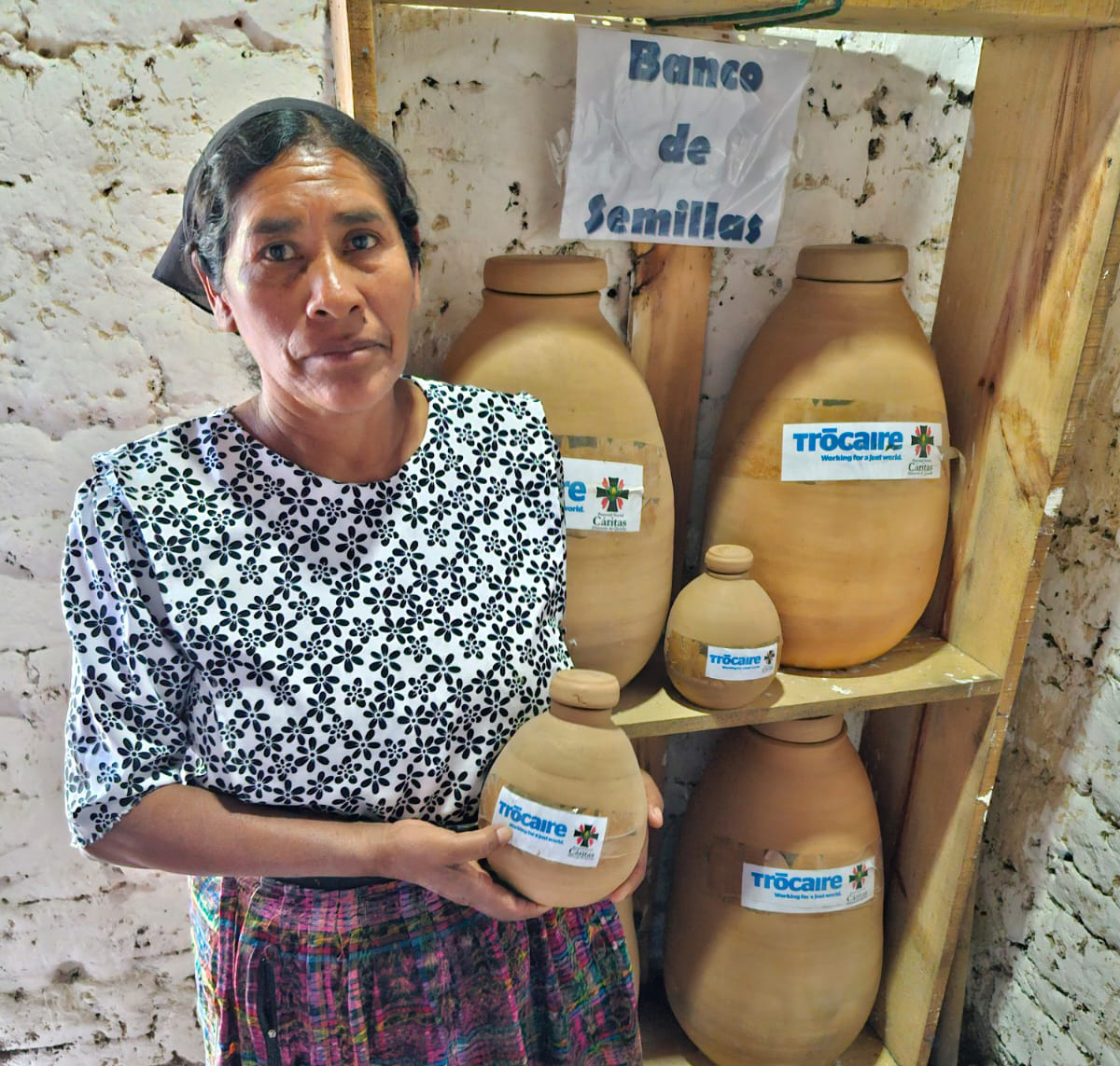 El banco de semillas es utilizado para guardar semillas nativas bien seleccionadas. al momento de empezar la época de lluvia son utilizadas para la siembra