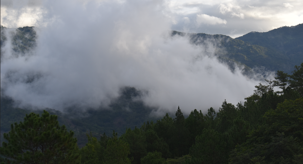 neblina
