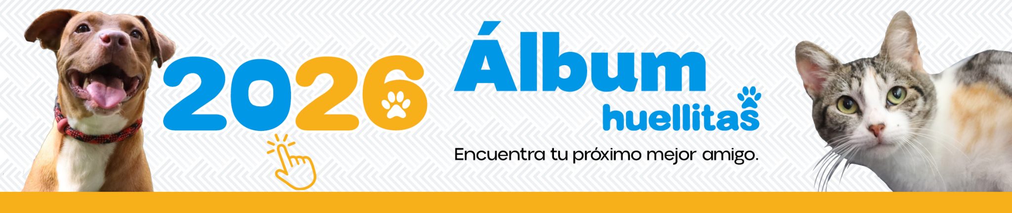 ¿Te gustaría adoptar a un buen amigo?