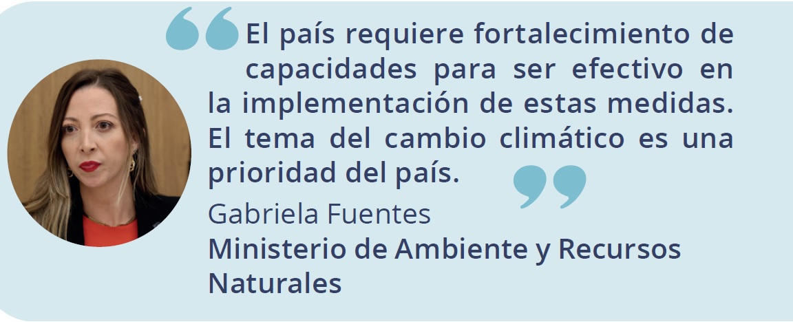 Frase 2