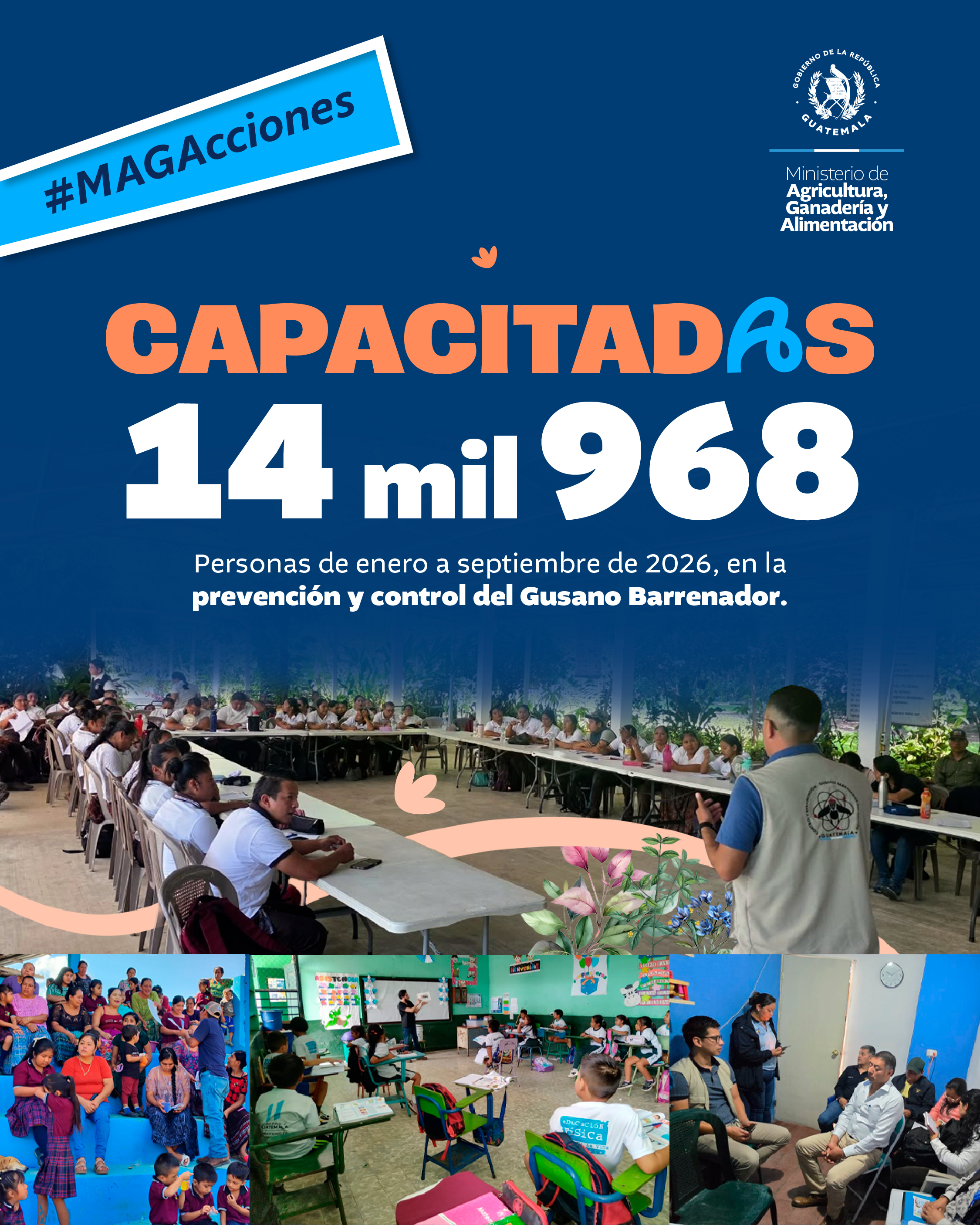 MAGAcciones
