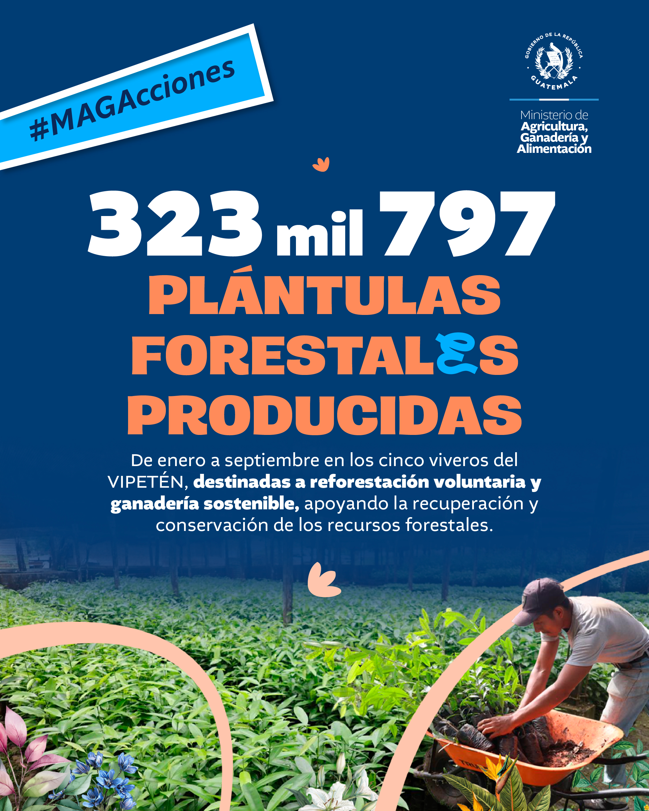 MAGAcciones
