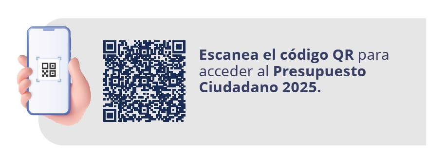 PRESUPUESTO CIUDADANO