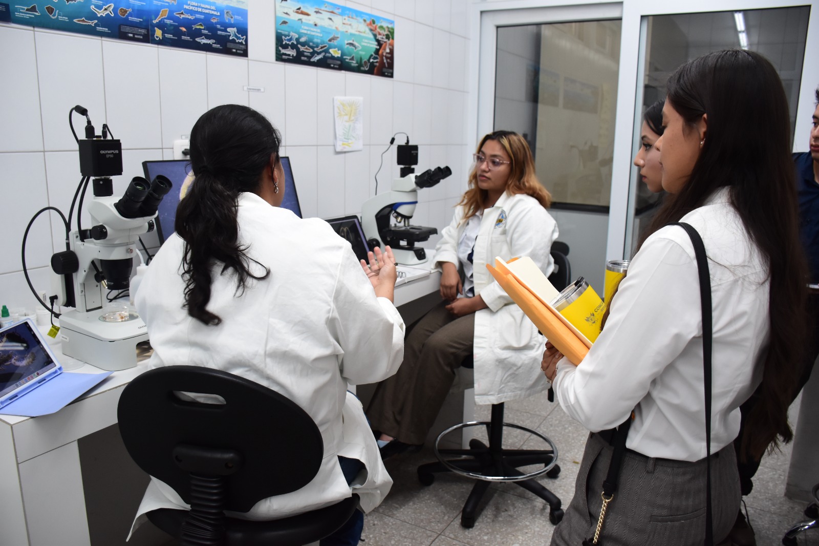 lab