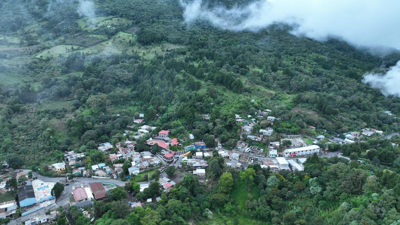 pacaya