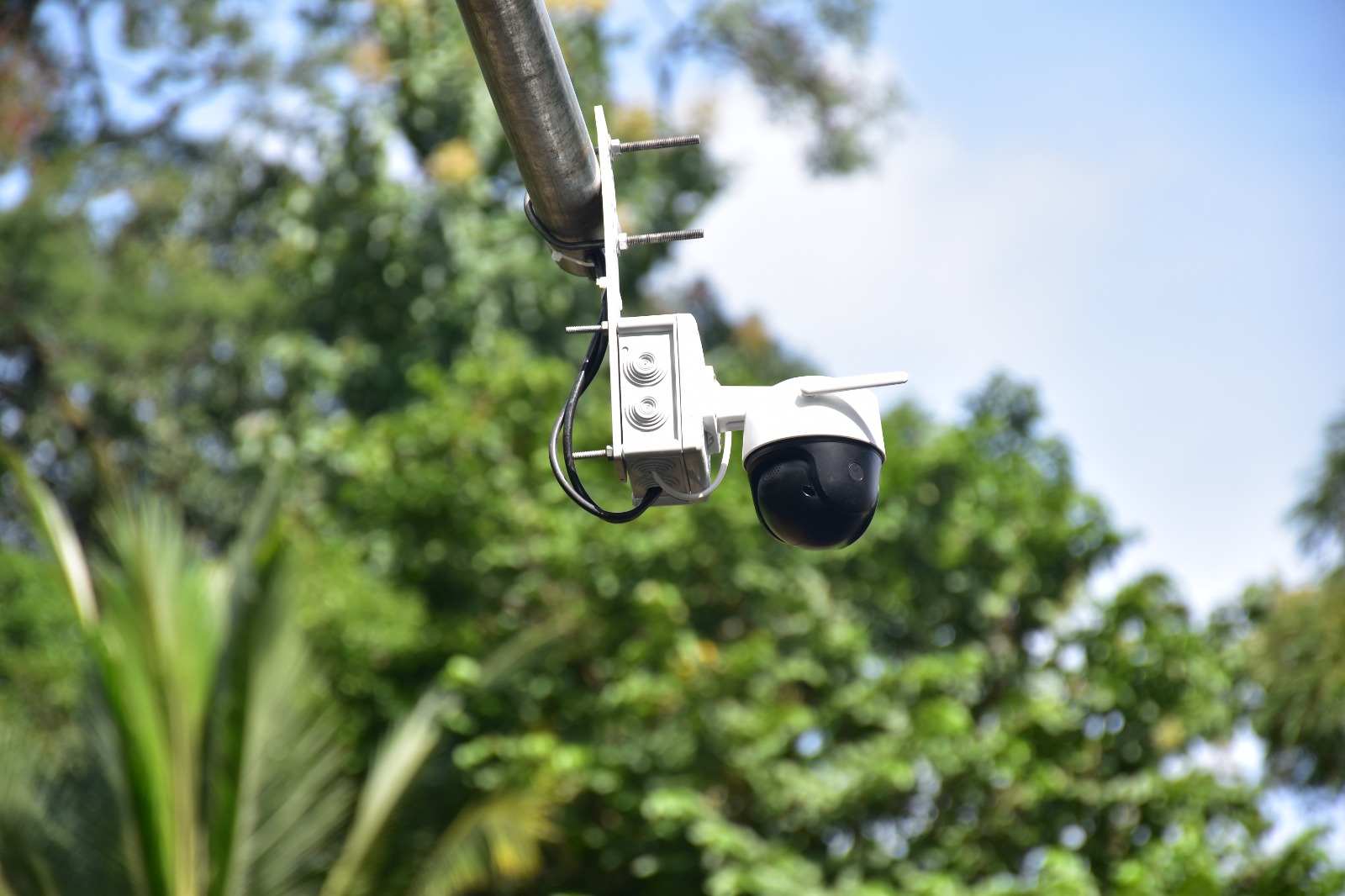 camara