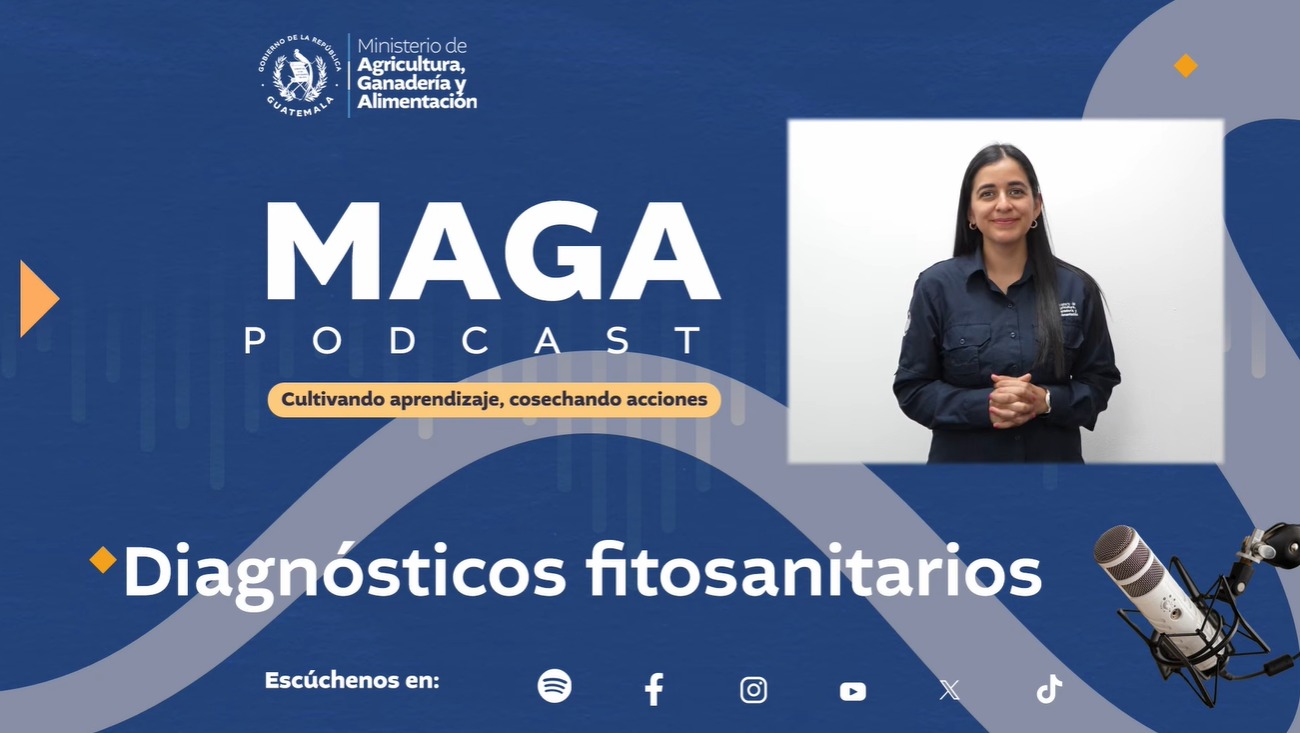 MAGA Podcast en Spotify | Diagnósticos fitosanitarios