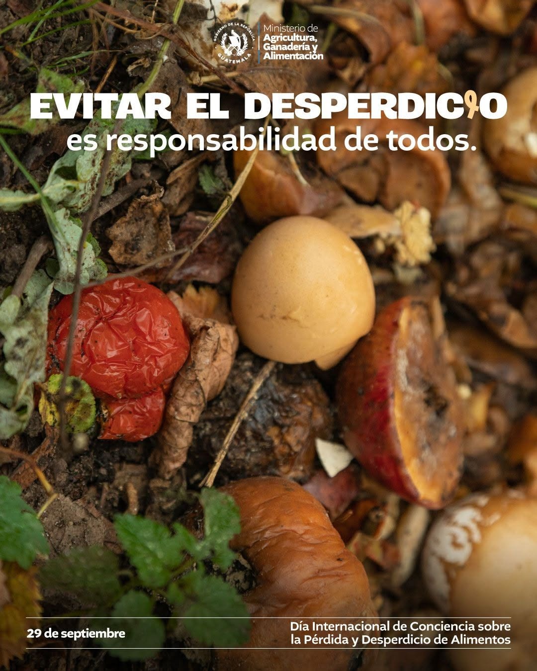 Día