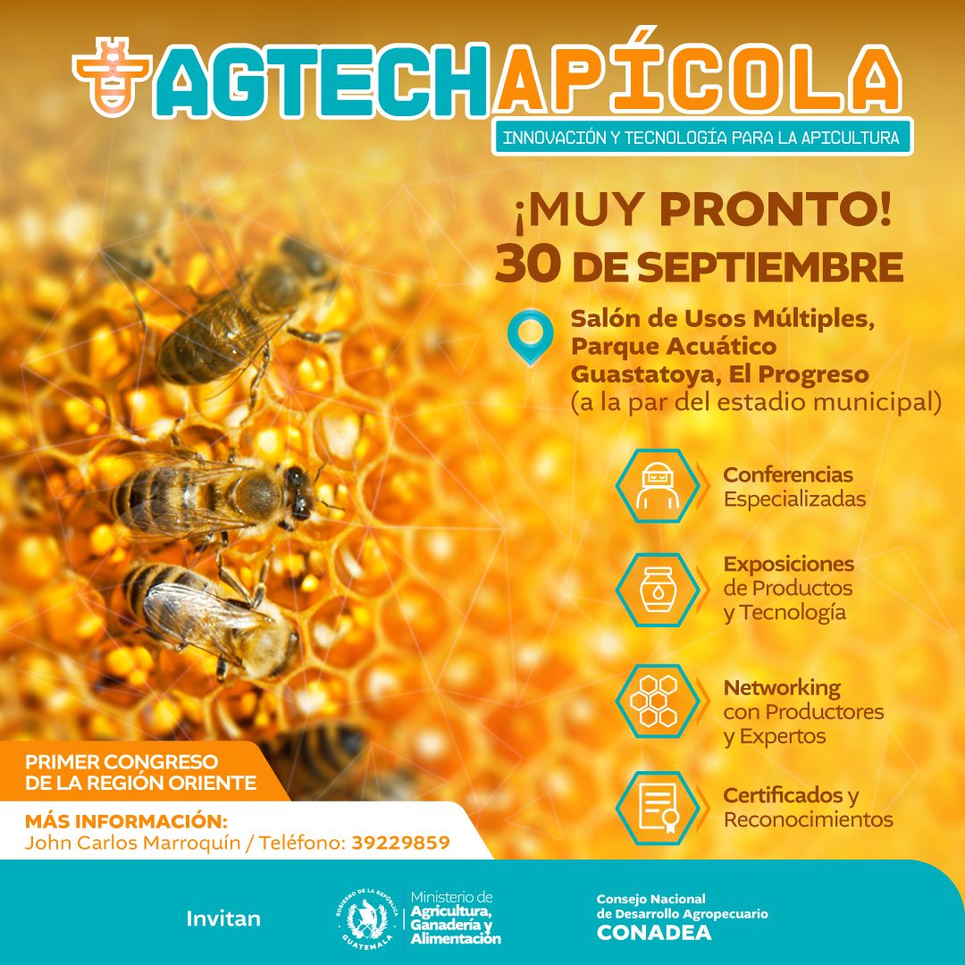Mañana, la apicultura también se transforma con innovación