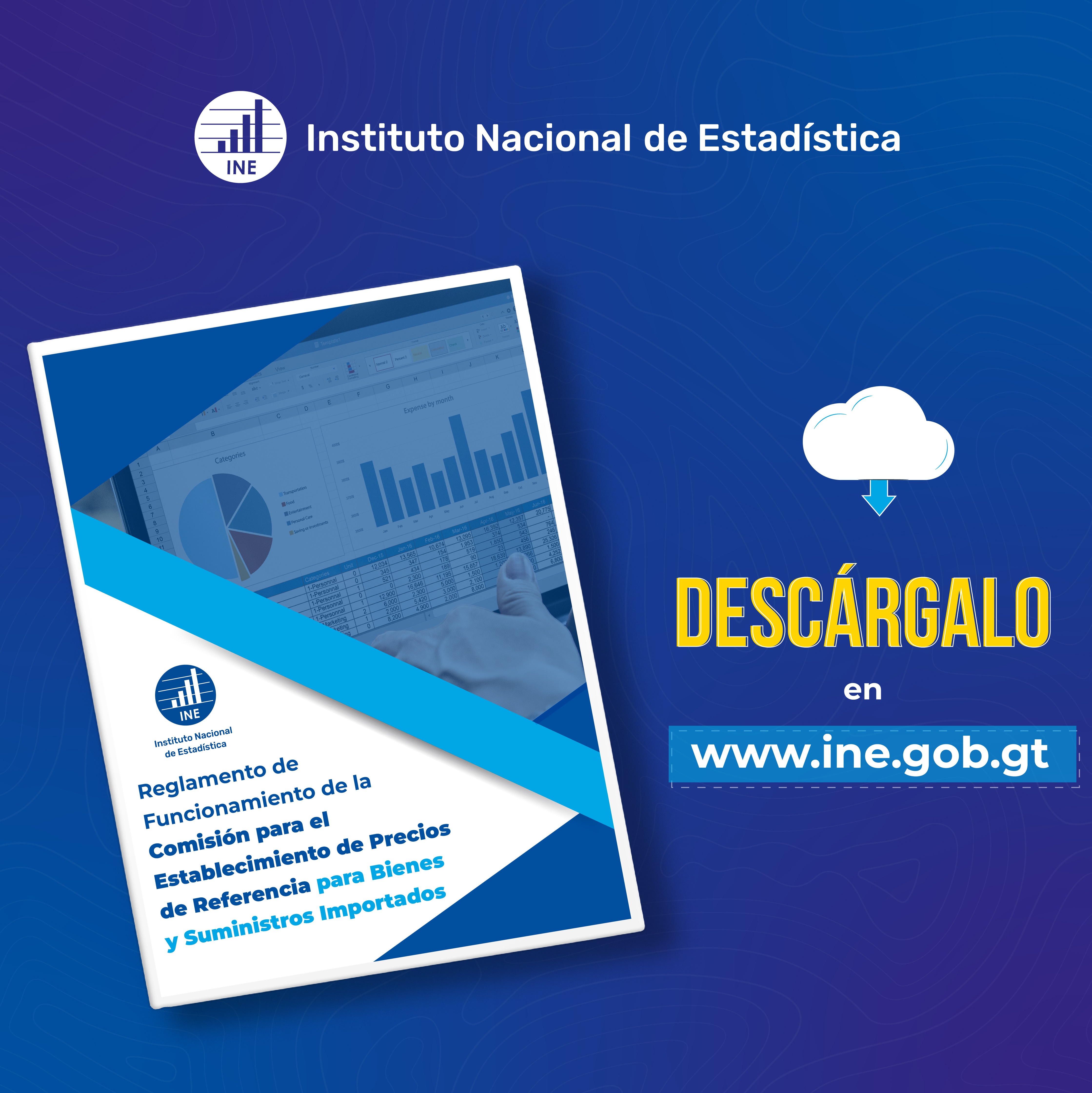 BIENES Y SUMINISTROS IMPORTADOS