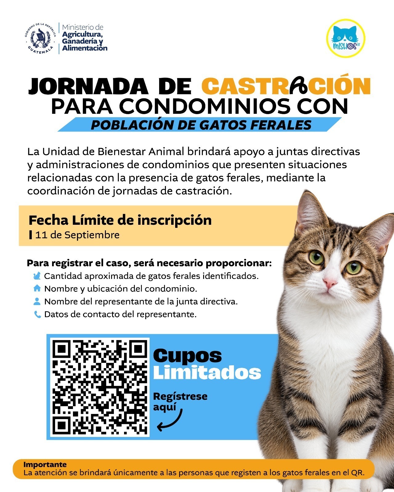 Jornada castración de gatos en condominios