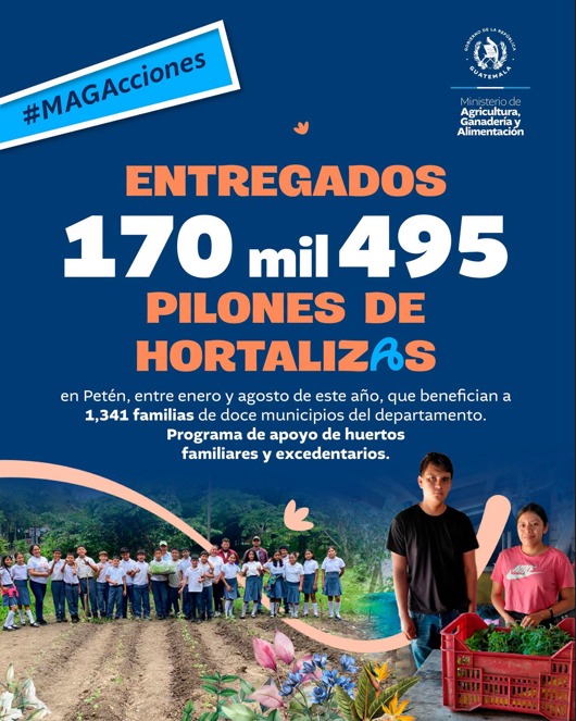 MAGAcciones