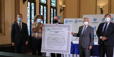 Presidente Alejandro Giammattei incentivos forestales
