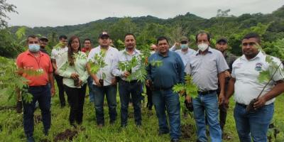 Santa Rosa cuenta con nuevas áreas reforestadas