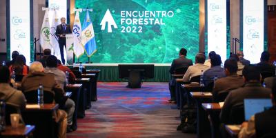 Los recursos forestales contribuyen a la productividad del país 