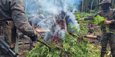 Ejército de Guatemala resta espacios al narcotráfico.