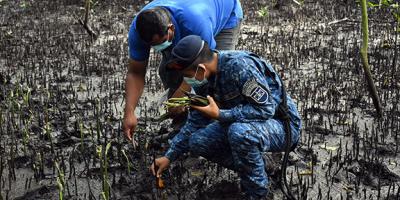 Ejército de Guatemala conmemora el Día Internacional del Ecosistema de Manglares.