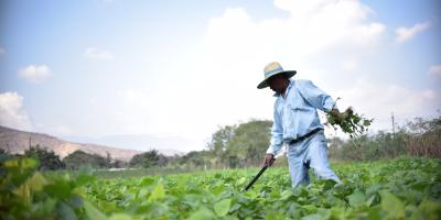 Crédito Tob’anik otorgó más de 96 millones de quetzales