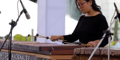 Día de la Marimba