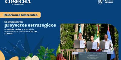 comunicado del Minex