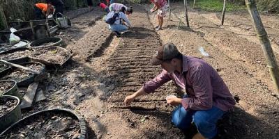 Siembra de hortalizas fortalece agricultura familiar en Esquipulas