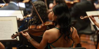 Camerata