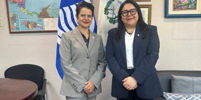 nota de prensa