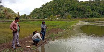 Asistencia técnica fortalece la producción de tilapia