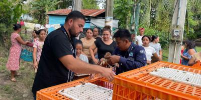 Entregan aves mejoradas a mujeres en Petén