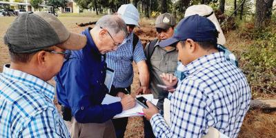 Sistemas agroforestales impulsan la productividad sostenible