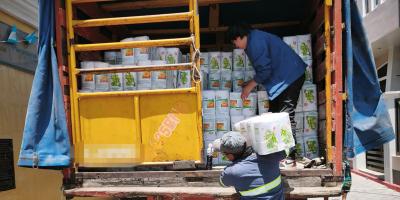 Llegan a Quetzaltenango más de seis mil raciones de alimentos para familias vulnerables
