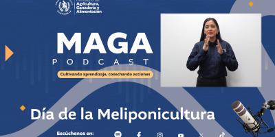 Reviva nuestro episodio sobre el Día de la Meliponicultura en el MAGA Podcast