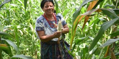 MAGA Podcast: El Seguro Agropecuario