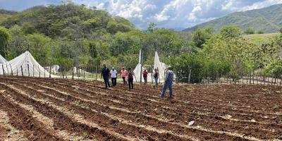 En Zacapa supervisan parcela demostrativa del Programa Suelos y Agua para el Futuro