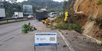 CIV: estas emergencias por lluvias se atendieron en las últimas 24 horas 