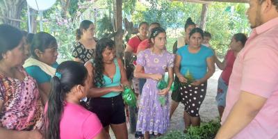 Familias rurales de Petén reciben más de 170 mil pilones de hortalizas