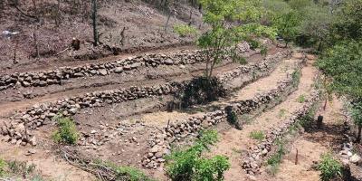 Impulsan la conservación de suelos y huertos orgánicos en Zacapa