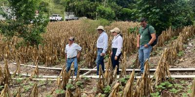 Verifican instalación de sistemas de riego tecnificado en San José La Arada
