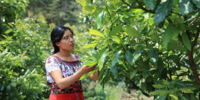 Agromujer impulsa nuevas oportunidades para jóvenes de Oriente