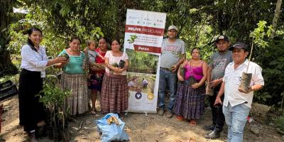 Familias rurales de Petén fortalecen la diversificación de sus huertos