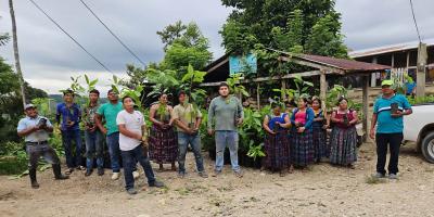 Continúa impulso del cultivo de cacao en comunidades de Poptún y San Luis