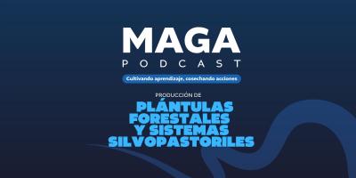 MAGA Podcast en YouTube | Plántulas forestales y sistemas silvopastoriles