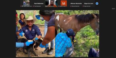 Extensionistas refuerzan conocimientos para detectar el Gusano Barrenador