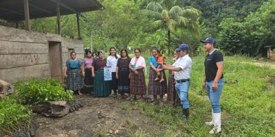Familias de San Luis fortalecen sistemas agroforestales