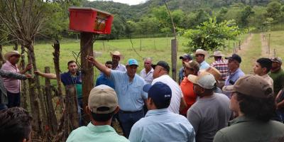 Fortalecen sistemas ganaderos con cercas eléctricas