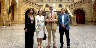 nota de prensa