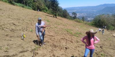Impulsan prácticas para conservar los suelos y aprovechar el agua de lluvia