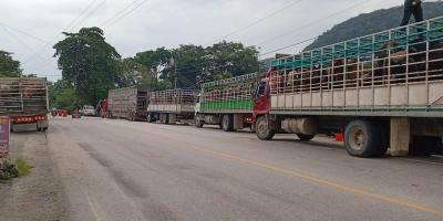 Inspeccionados más de un millar de animales en prevención del Gusano Barrenador
